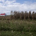 Exploring the Different Types of Rural Communities in Franklin County, Ohio